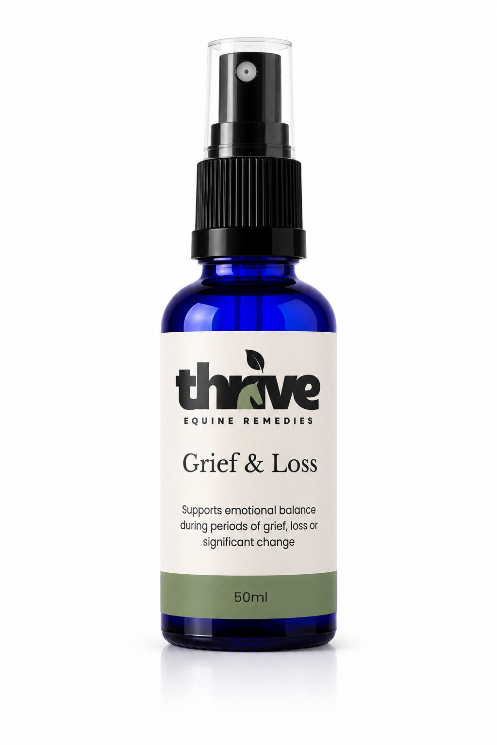 Grief & Loss