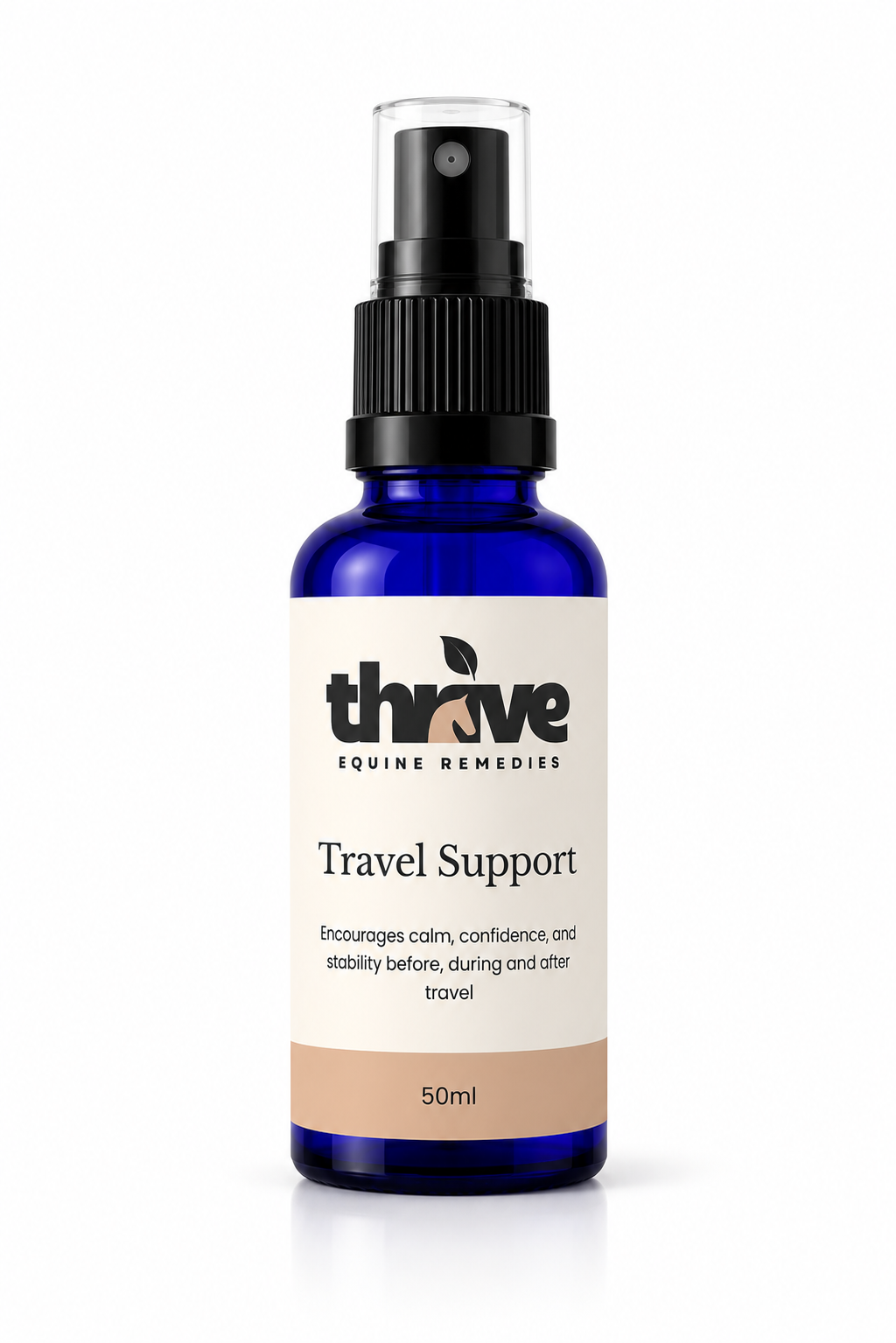 Travel Support