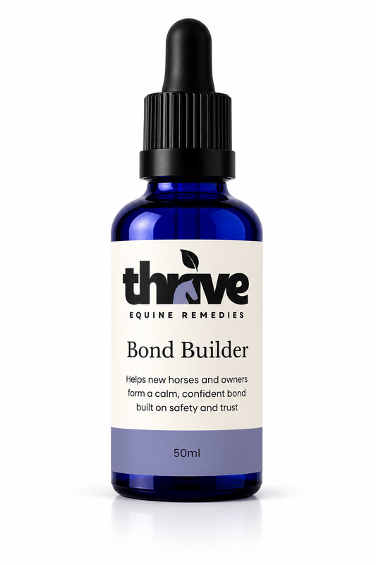 Bond Builder