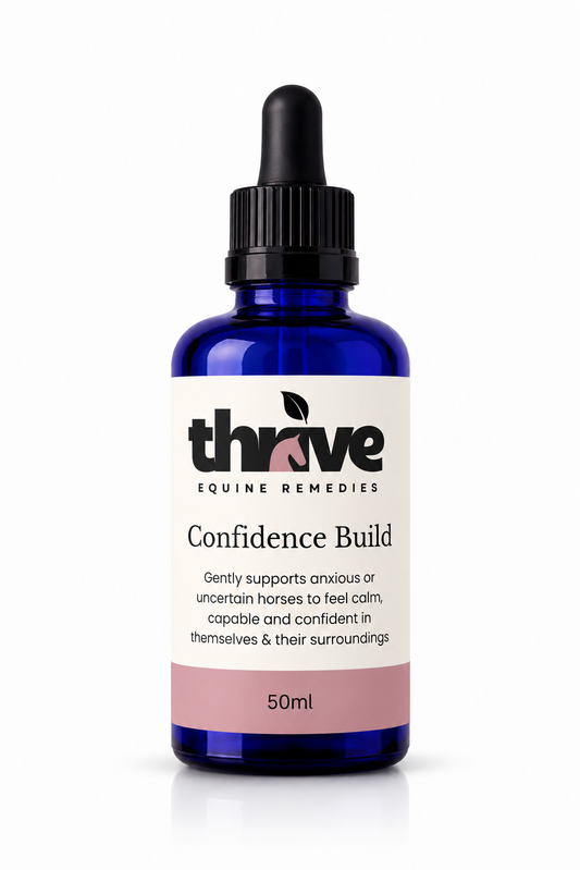 Confidence Build