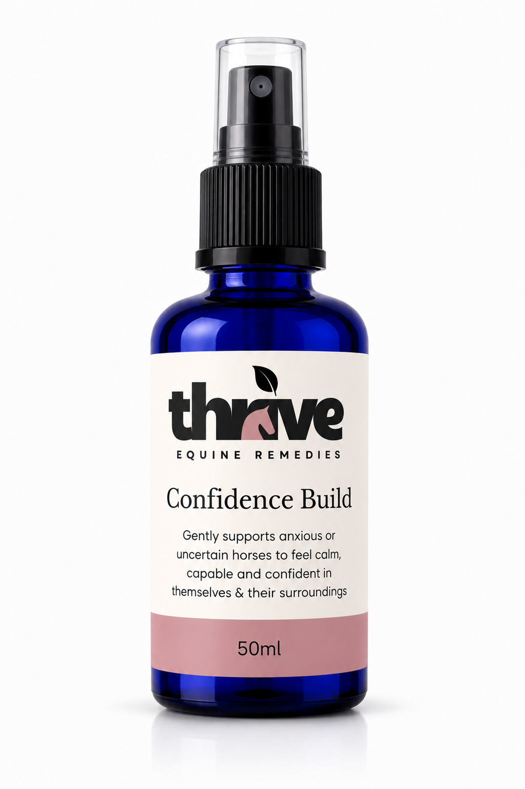 Confidence Build