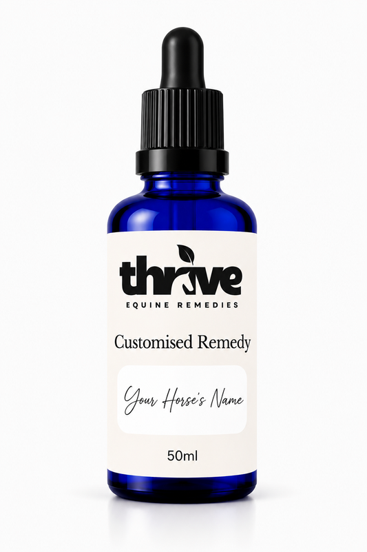 Customised Equine Flower Remedy (includes Consultation)