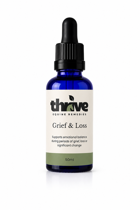 Grief & Loss