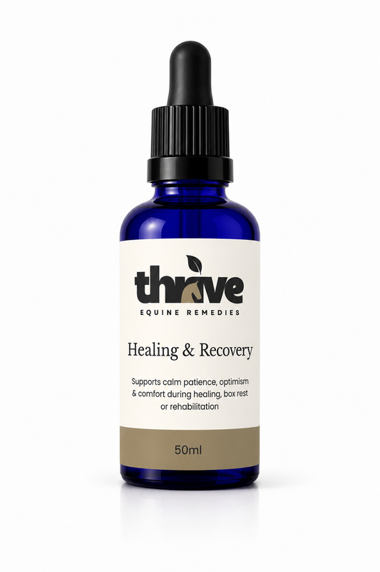 Healing & Recovery