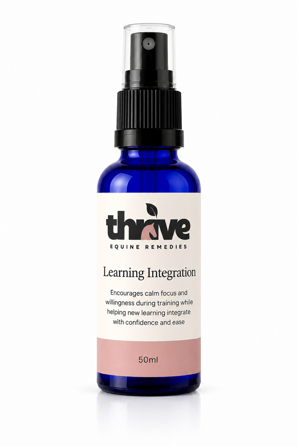 Learning Integration