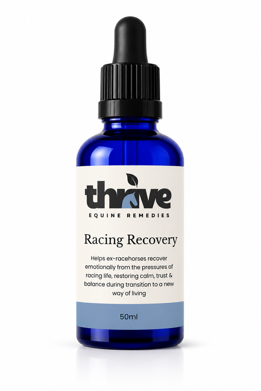 Racing Recovery