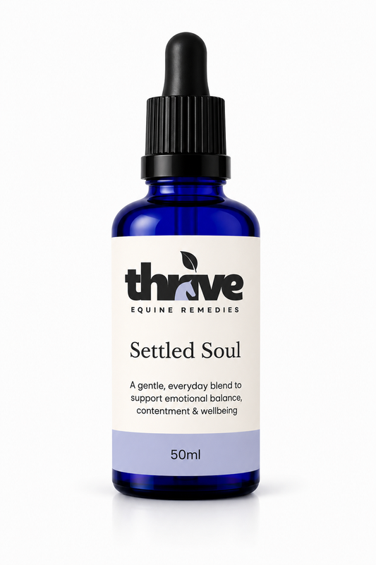 Settled Soul
