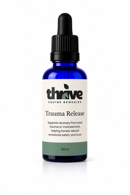 Trauma Release