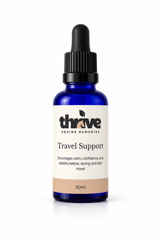 Travel Support