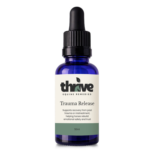Trauma Release
