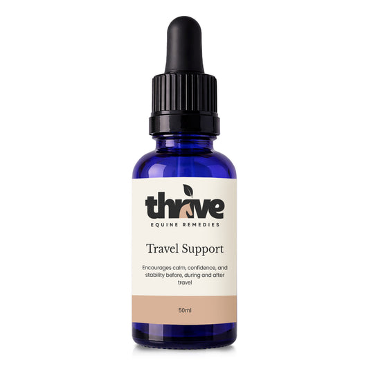 Travel Support