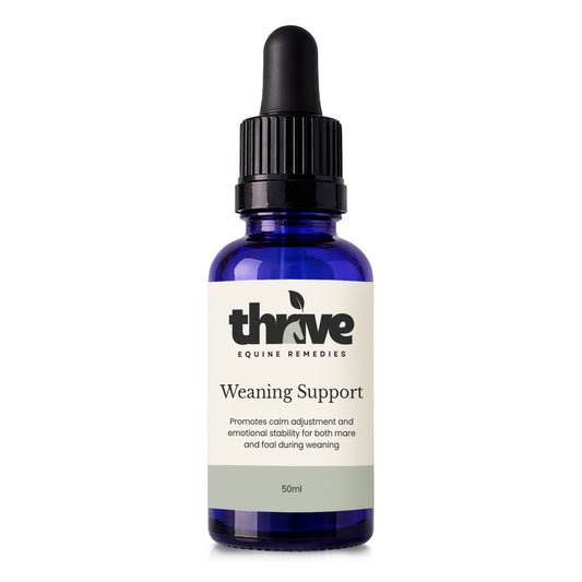Weaning Support